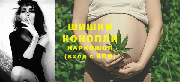 крисы Медногорск