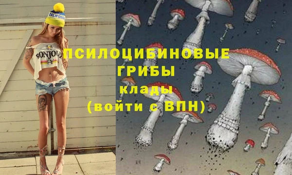 MESCALINE Магадан