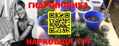 амфетамин Гай