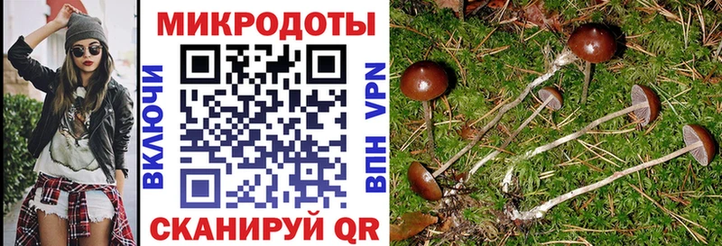 Галлюциногенные грибы ЛСД  где найти   Пушкино 