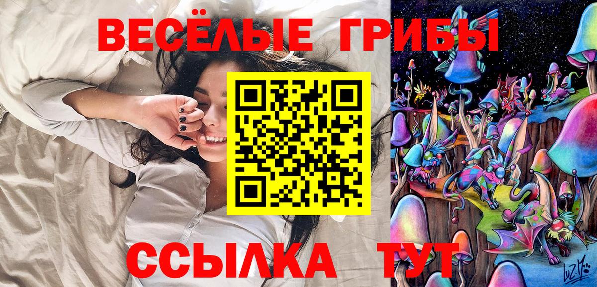 Псилоцибиновые грибы мицелий Пушкино