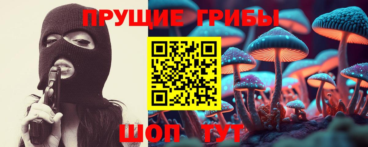 Галлюциногенные грибы Psilocybe  Галлюциногенные грибы Psilocybine cubensis  Вход с VPN  Пушкино 