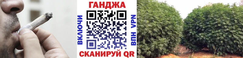МЕГА онион  Пушкино  Бошки марихуана индика 